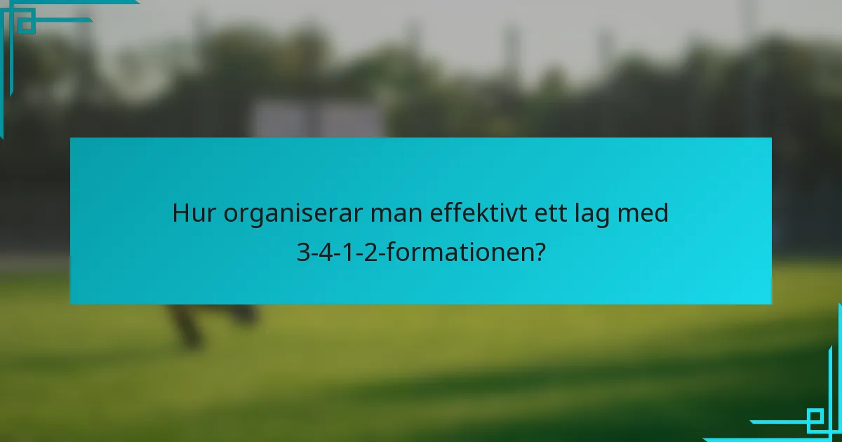 Hur organiserar man effektivt ett lag med 3-4-1-2-formationen?