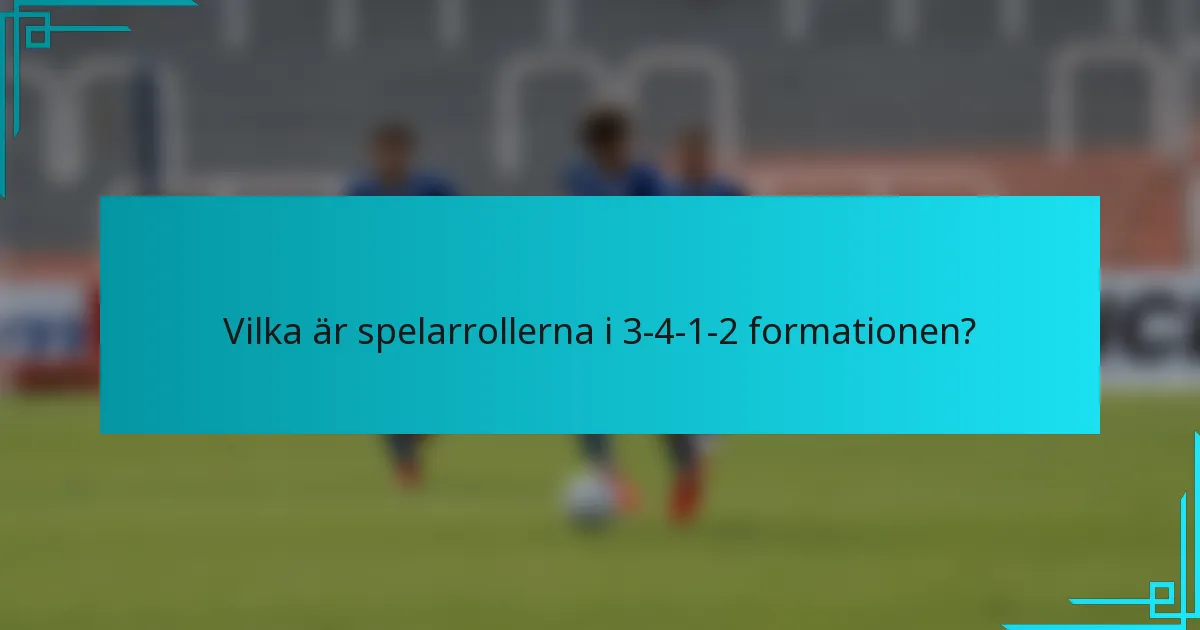 Vilka är spelarrollerna i 3-4-1-2-formationen?